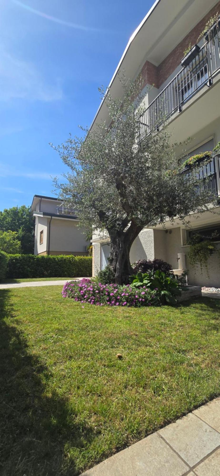Villa Ca' Olivo Mogliano Veneto Exterior foto