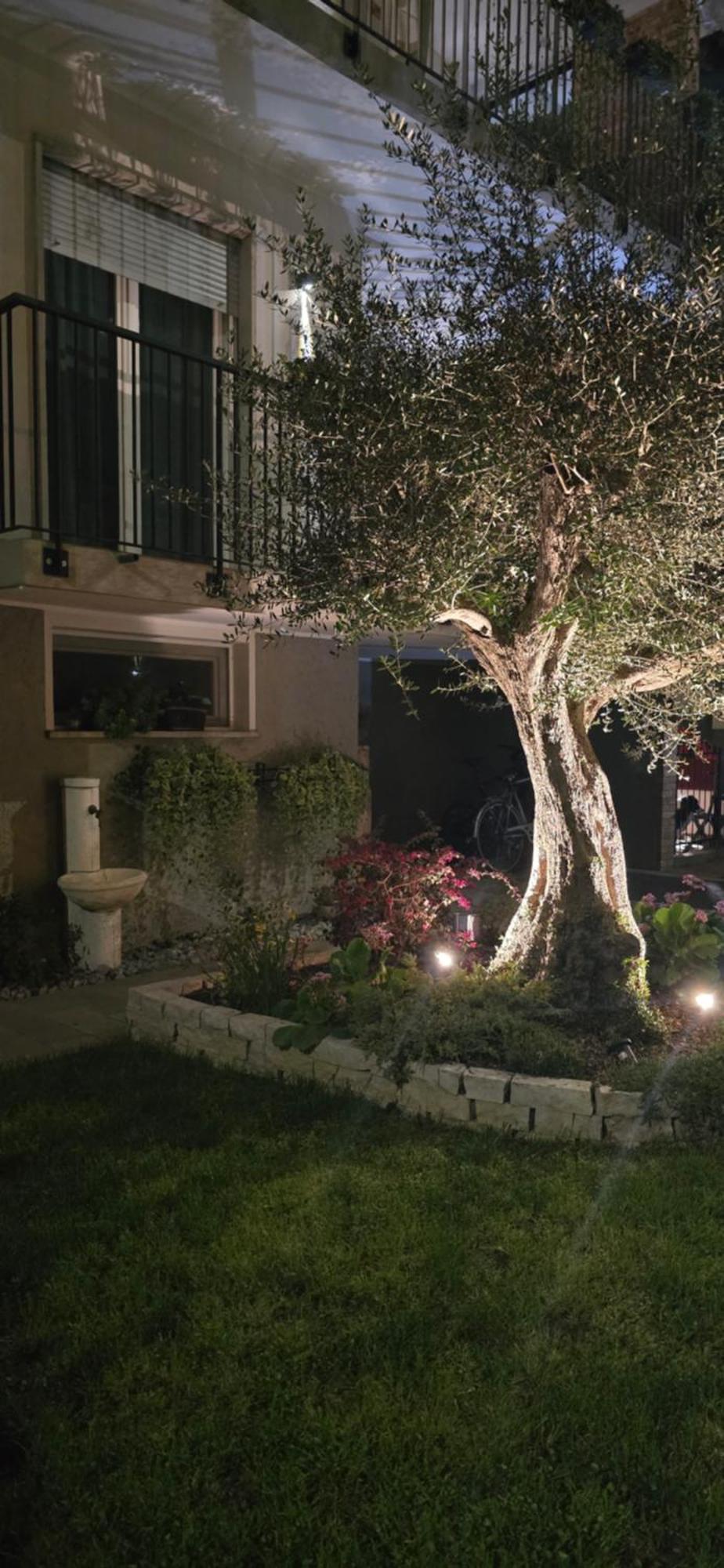 Villa Ca' Olivo Mogliano Veneto Exterior foto